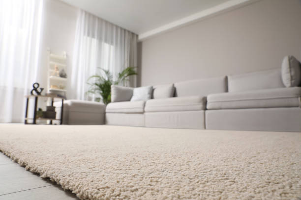 Living room interior with furniture and soft carpet