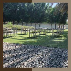 Picnic benches & tables- wide view