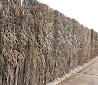 Barasti Fence